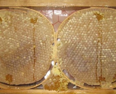 Karakovan Petek Balı 2.700kg